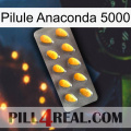 Anaconda 5000 Pill cialis1